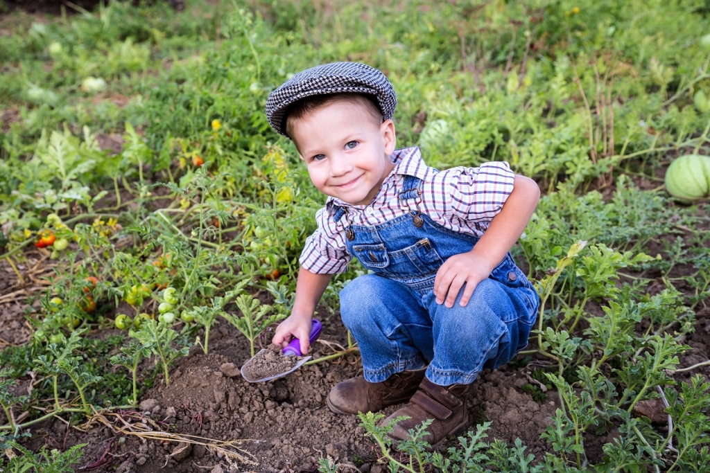 Smiling little boy digging in vegetables garden