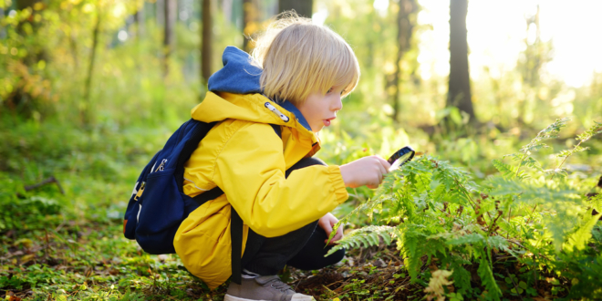 Naučte deti milovať prírodu od malička